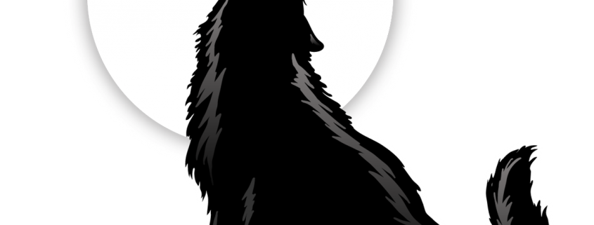 Classic Rock Band in Clearwater FL